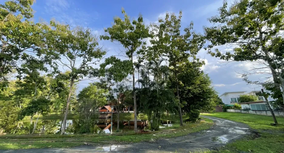 Casa en alquiler de 3 habitaciones en Saraphi, Chiang Mai