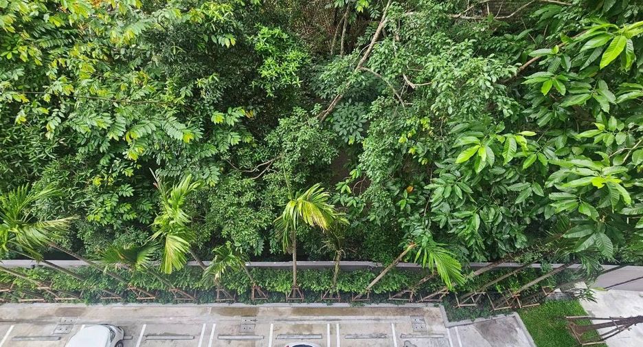 For rent 1 bed condo in Thalang, Phuket