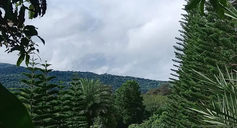 For sale 5 ベッドルーム house in Phu Ruea, Loei