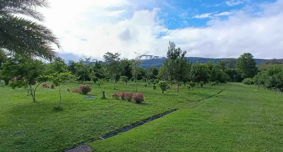 For sale 5 ベッドルーム house in Phu Ruea, Loei