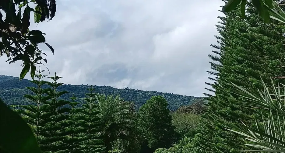 For sale 5 ベッドルーム house in Phu Ruea, Loei