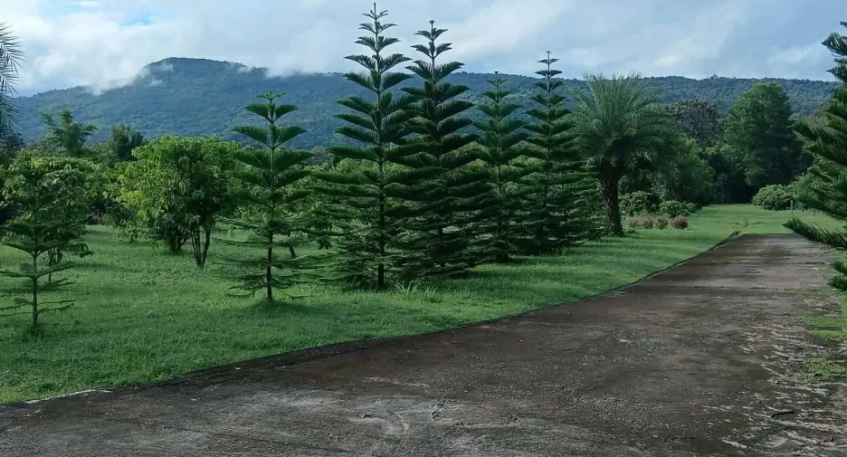 For sale 5 ベッドルーム house in Phu Ruea, Loei