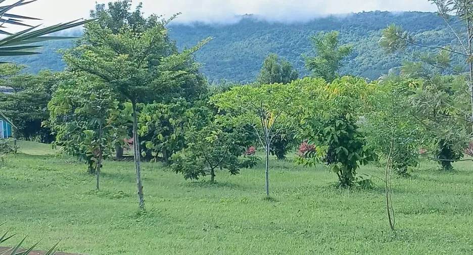 For sale 5 ベッドルーム house in Phu Ruea, Loei