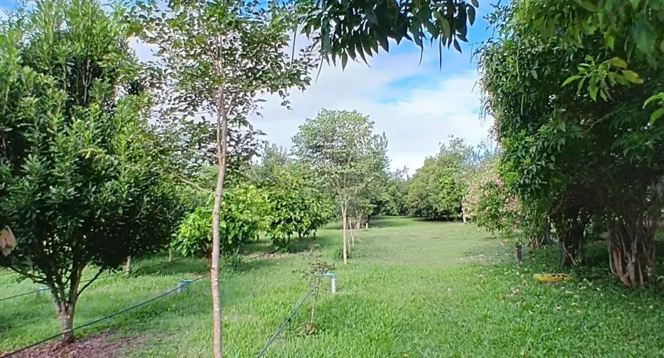 For sale 5 ベッドルーム house in Phu Ruea, Loei