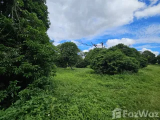 Grundstück zum Kauf in Mueang Chiang Rai, Chiang Rai