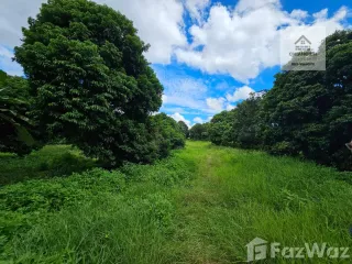 Grundstück zum Kauf in Mueang Chiang Rai, Chiang Rai