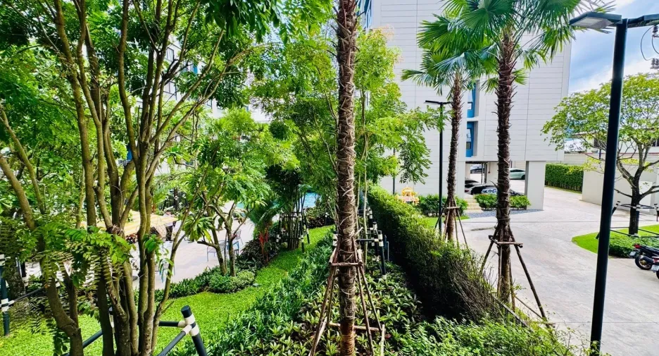 For rent 1 bed condo in Kathu, Phuket
