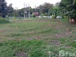 For sale land in Doi Saket, Chiang Mai