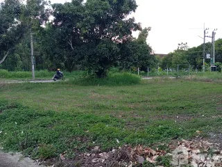 For sale land in Doi Saket, Chiang Mai