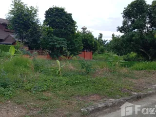 For sale land in Doi Saket, Chiang Mai