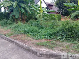 For sale land in Doi Saket, Chiang Mai