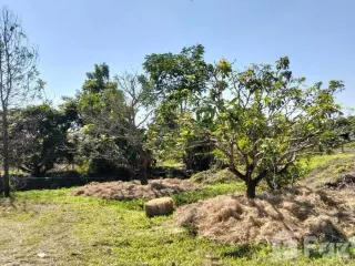 For sale land in Hang Dong, Chiang Mai