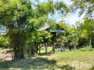 For sale land in Hang Dong, Chiang Mai