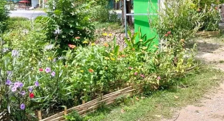 For sale land in Hang Dong, Chiang Mai