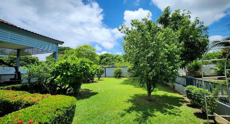 Casa en venta y en alquiler de 4 habitaciones en San Kamphaeng, Chiang Mai