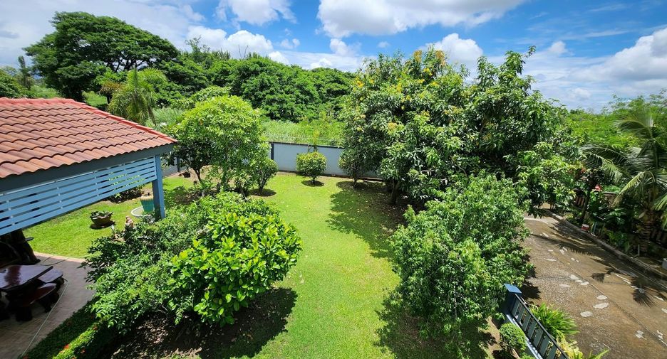 Casa en venta y en alquiler de 4 habitaciones en San Kamphaeng, Chiang Mai
