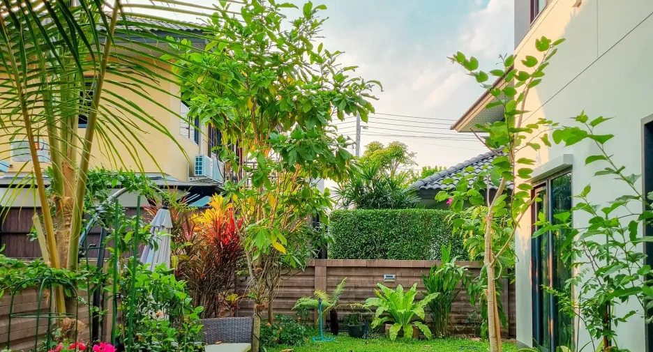 For rent 1 bed house in Mae Rim, Chiang Mai