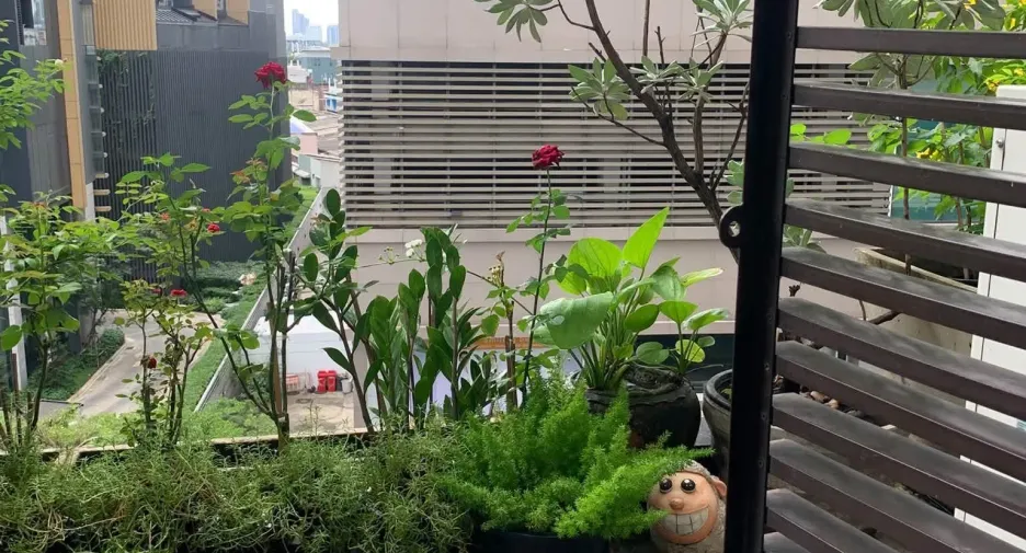 Condo en venta y en alquiler de 2 habitaciones en Khlong Toei, Bangkok