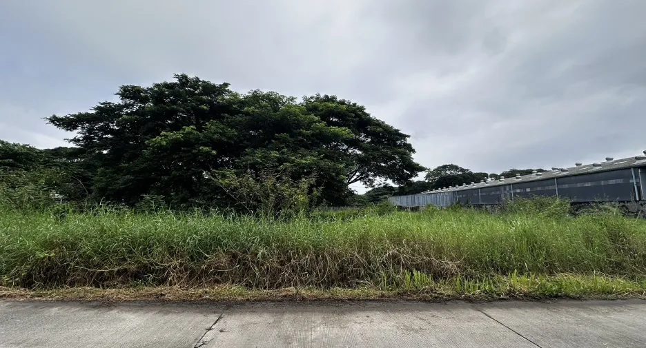 Casa en venta y en alquiler de estudio en Mueang Chiang Mai, Chiang Mai