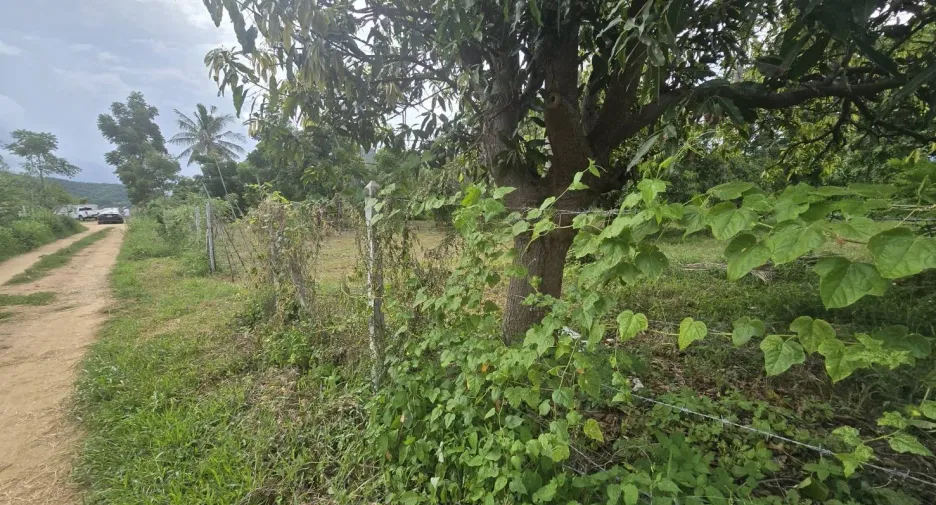 Grundstück zum Kauf in Sam Roi Yot, Prachuap Khiri Khan