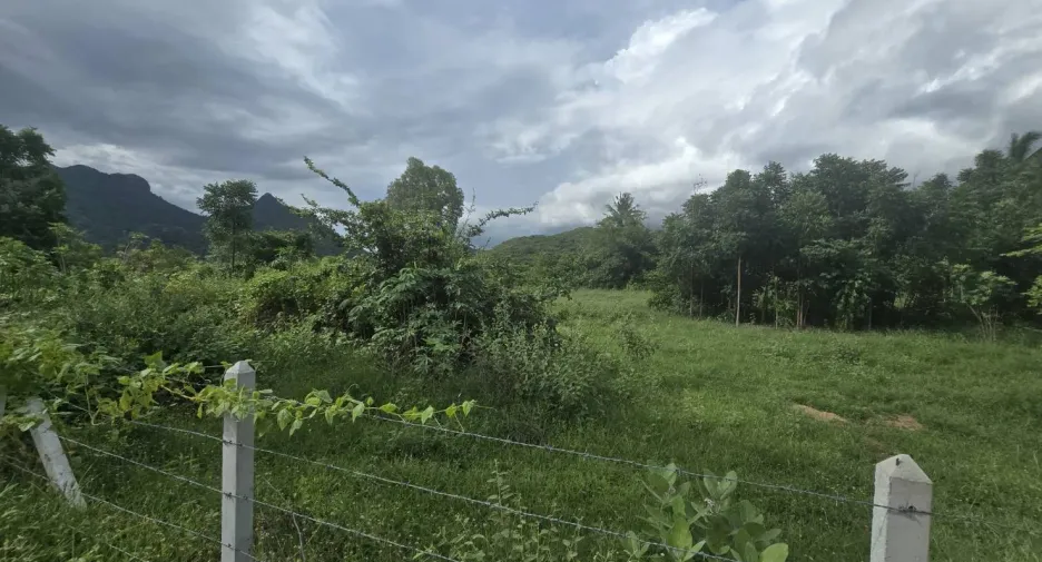 Grundstück zum Kauf in Sam Roi Yot, Prachuap Khiri Khan