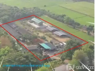 For sale land in San Sai, Chiang Mai