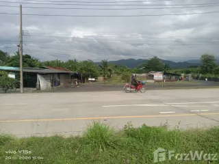 For sale land in San Sai, Chiang Mai