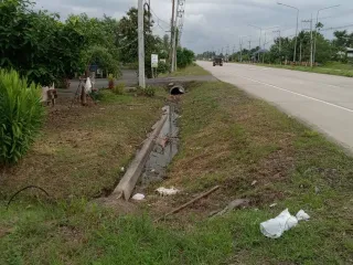 For sale land in San Sai, Chiang Mai