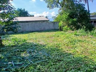 For sale land in Mueang Chiang Mai, Chiang Mai