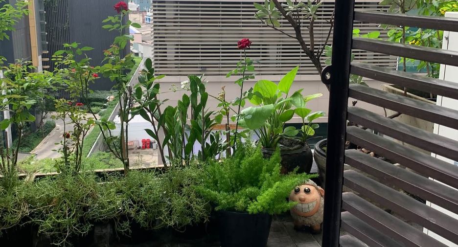 Wohnung zur Miete und zum Kauf mit 2 Zimmer in Khlong Toei, Bangkok