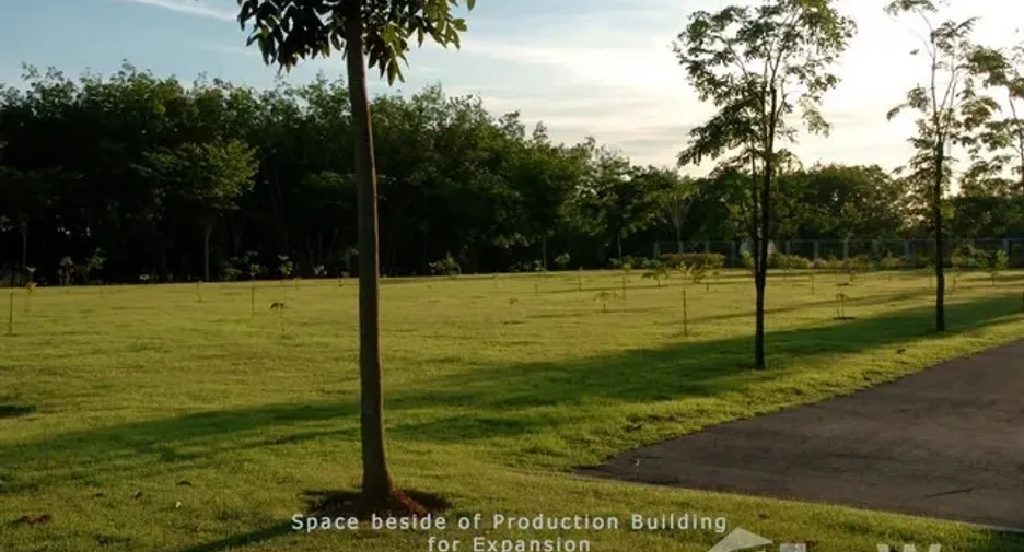 ขาย สตูดิโอ บ้านเดี่ยว ใน เขาชะเมา, ระยอง