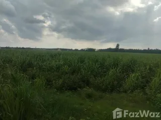 Terreno en venta en Ko Chan, Chonburi