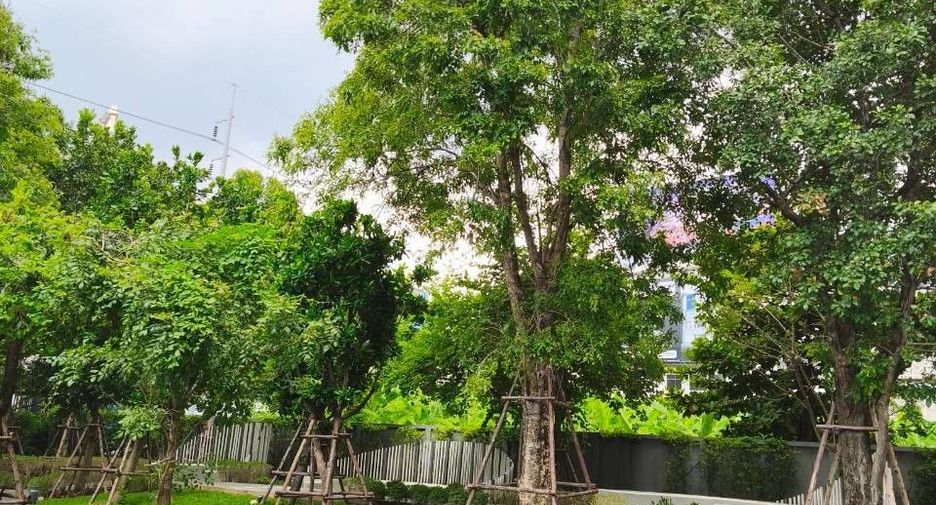 For rent 1 bed condo in Watthana, Bangkok