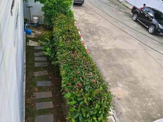 For rent 3 bedrooms townhouse in Saraphi, Chiang Mai