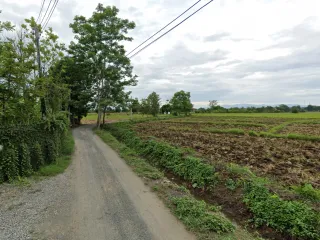 For sale land in Doi Saket, Chiang Mai