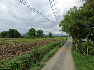For sale land in Doi Saket, Chiang Mai