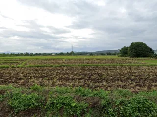 For sale land in Doi Saket, Chiang Mai