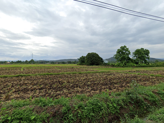 For sale land in Doi Saket, Chiang Mai