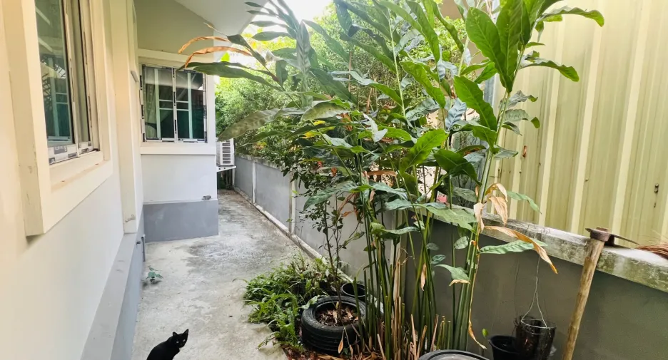 For rent 3 bedrooms house in Mae Rim, Chiang Mai