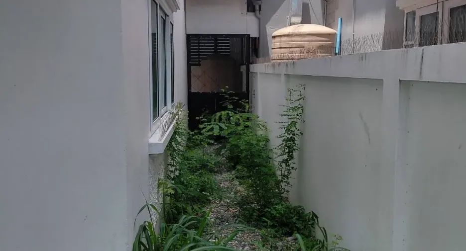 For rent 3 bedrooms house in Mueang Chiang Mai, Chiang Mai