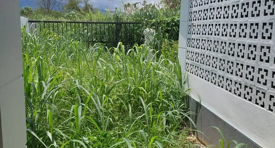For rent 3 bedrooms house in Mueang Chiang Mai, Chiang Mai