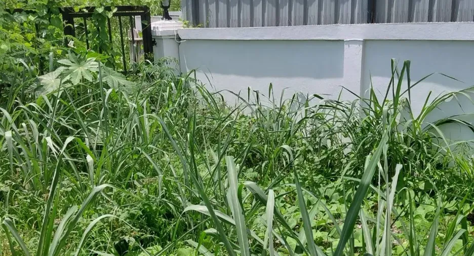 For rent 3 bedrooms house in Mueang Chiang Mai, Chiang Mai
