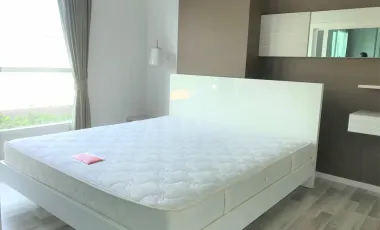 For rent 1 bed condo 