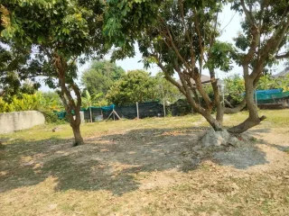 ขาย ที่ดิน ใน สันทราย, เชียงใหม่