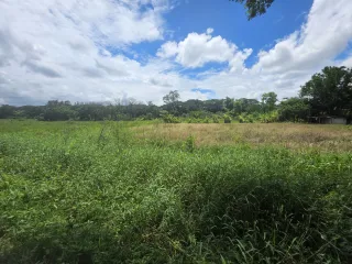 Grundstück zum Kauf in Saraphi, Chiang Mai