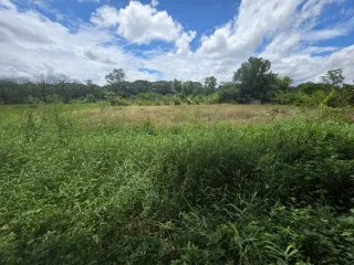 Grundstück zum Kauf in Saraphi, Chiang Mai