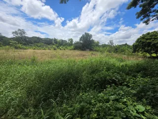 Grundstück zum Kauf in Saraphi, Chiang Mai