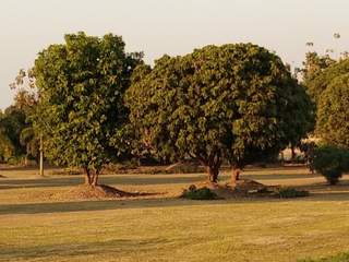 For sale land in San Kamphaeng, Chiang Mai