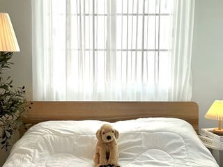 Casa en venta de 2 habitaciones en San Kamphaeng, Chiang Mai