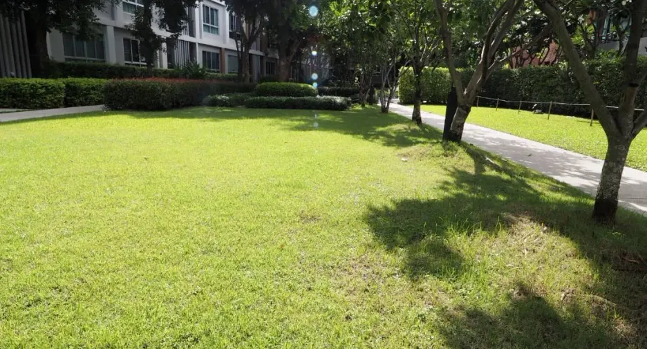 For rent studio condo in Mueang Chiang Mai, Chiang Mai